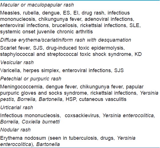 papular rash differential