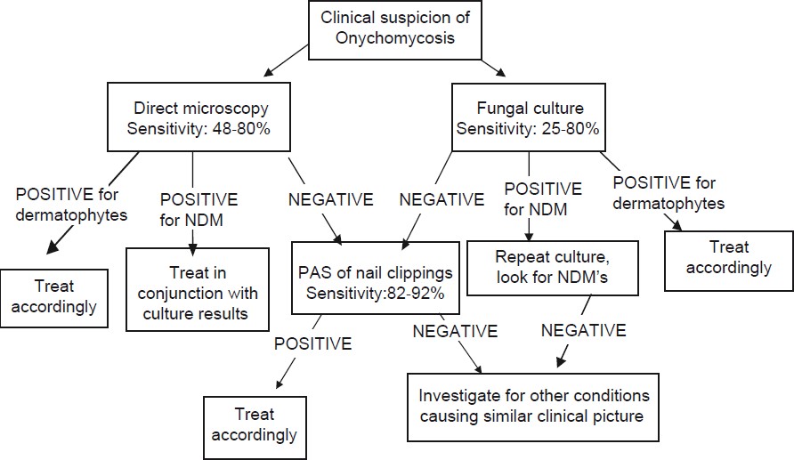 Practical Pearls in Cutaneous Fungal Infections and Onychomycosis - Part 1  - Next Steps in Dermatology