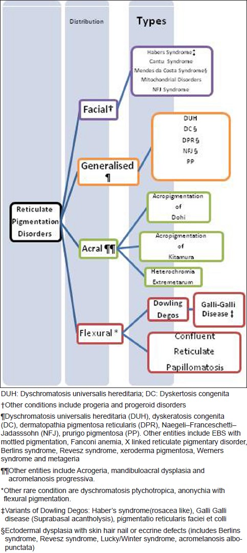 Reticulate pigmentary disorders - Indian Journal of Dermatology ...