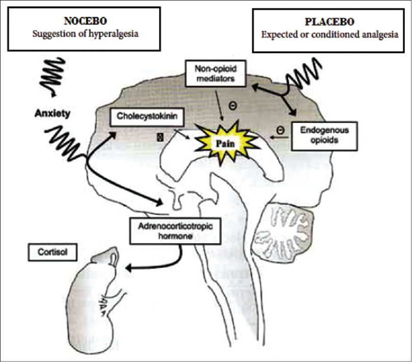 Nocebo effect in dermatology - Indian Journal of Dermatology, Venereology and Leprology