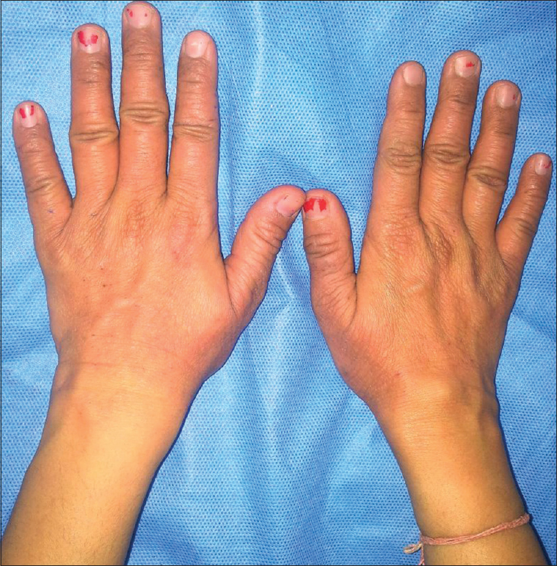 Microfiber Dusting Gloves, For Home, Finger Type: Full Fingered at Rs  22/piece in Delhi