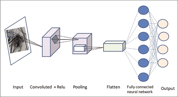 Processing of image through a convoluted neural network