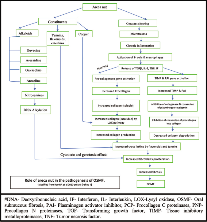 oral submucous fibrosis histopathology