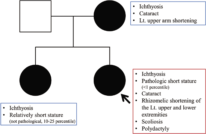 Pedigree chart of the family showing the different phenotypic features