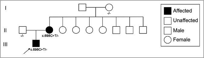 Pedigree of the SCA34 kindred with mutation (c.698C>T) in ELOVL4. Arrow indicates the proband in the family