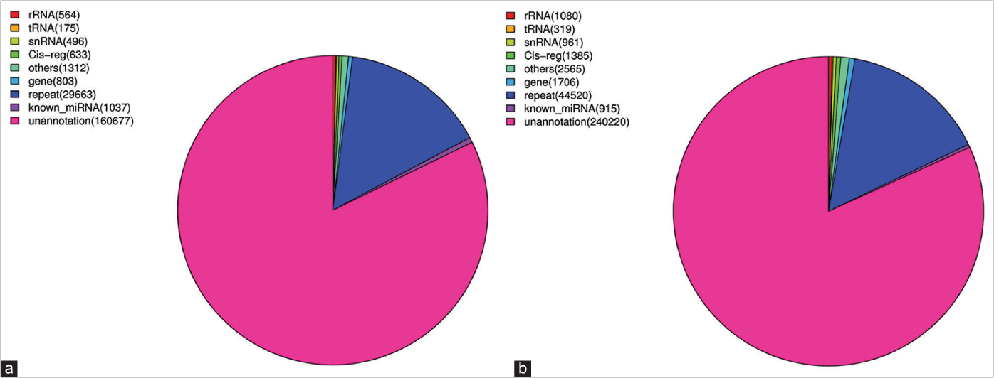 Distribution of miRNAs and other RNAs in KC-derived exosomes (a) (Sample A) and FB-derived exosomes (b) (Sample B). The known miRNAs in those two samples accounted for 0.6% and 0.14%, respectively