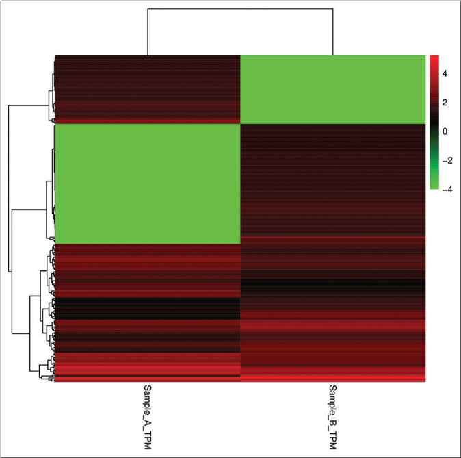 Clustering analysis of the data of KC-derived exosomes (Sample A) and FB-derived exosomes (Sample B). The abscissa represents sample clustering and each column represents one sample. The clustering is based on the similarity of gene expression between samples. The closer the gene expression between samples is, the closer it is. The ordinate represents gene clustering, each row represents one gene and clustering is based on the similarity of gene expression in the sample and the closer the gene is expressed in the sample, the closer it is. The color scale represents the abundance of gene expression. The deeper the red color, the greater expression was upregulated, the deeper the green color and the greater expression was down-regulated