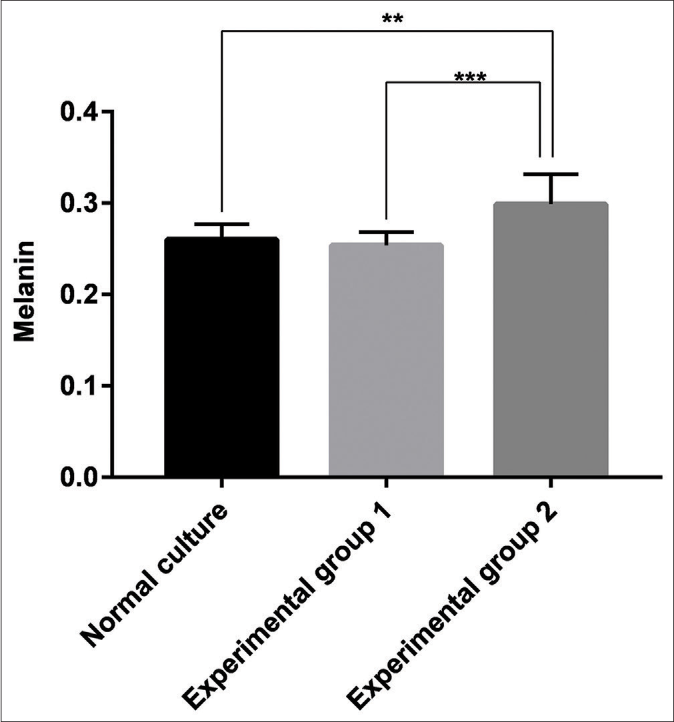 Melanin content of the blank group, the experimental Group 1 (melanocytes co-cultured with exosomes secreted by fibroblasts) and the experimental Group 2 (melanocytes co-cultured with exosomes secreted by keratinocytes). Keratinocyte-derived exosomes had a significant stimulatory effect on melanin content compared with the blank group (P < 0.05, P = 0.0021) and the experimental Group 1 (P < 0.001). However, no significant difference between the control group and the blank group was observed (P > 0.05)