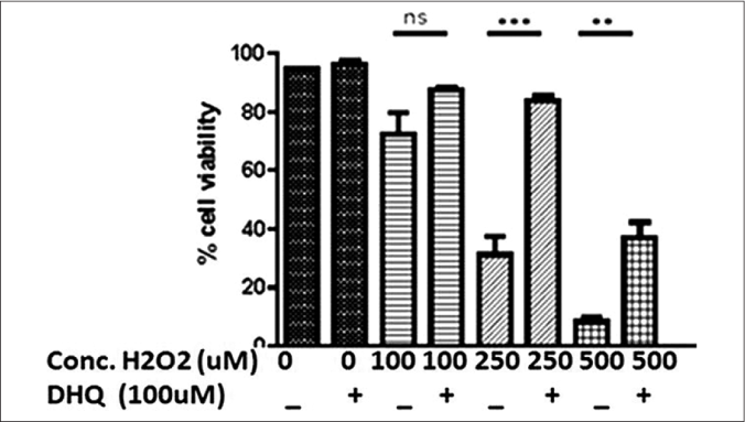 A dose-dependent effect of H2O2 on normal human melanocytes viability with and without pre-treatment (4 hours) of 100 µM 1,5-dihydroxyisoquinoline. Significant rescue in cell death was observed at higher doses of H2O2 (P = 0.0471; P = 0.0002 and P = 0.0022); the values represent mean ± standard deviation of three independent experiments