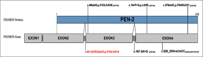 Summary of mutations in PSENEN gene reported in China, the novel mutation found in this study was highlighted in red