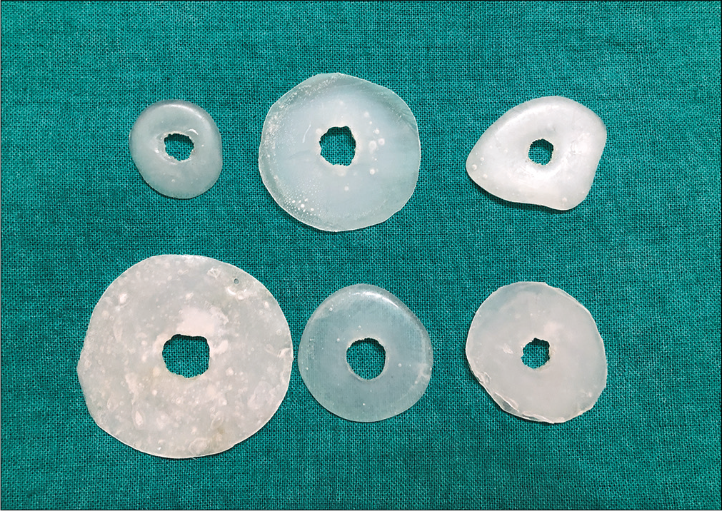 Discs prepared of different shapes and sizes