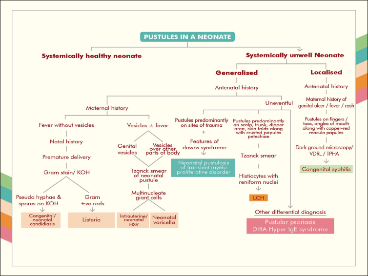 Flowchart of the diagnostic approach to a systemically unwell neonate presenting with pustules