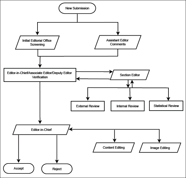 The current IJDVL review process