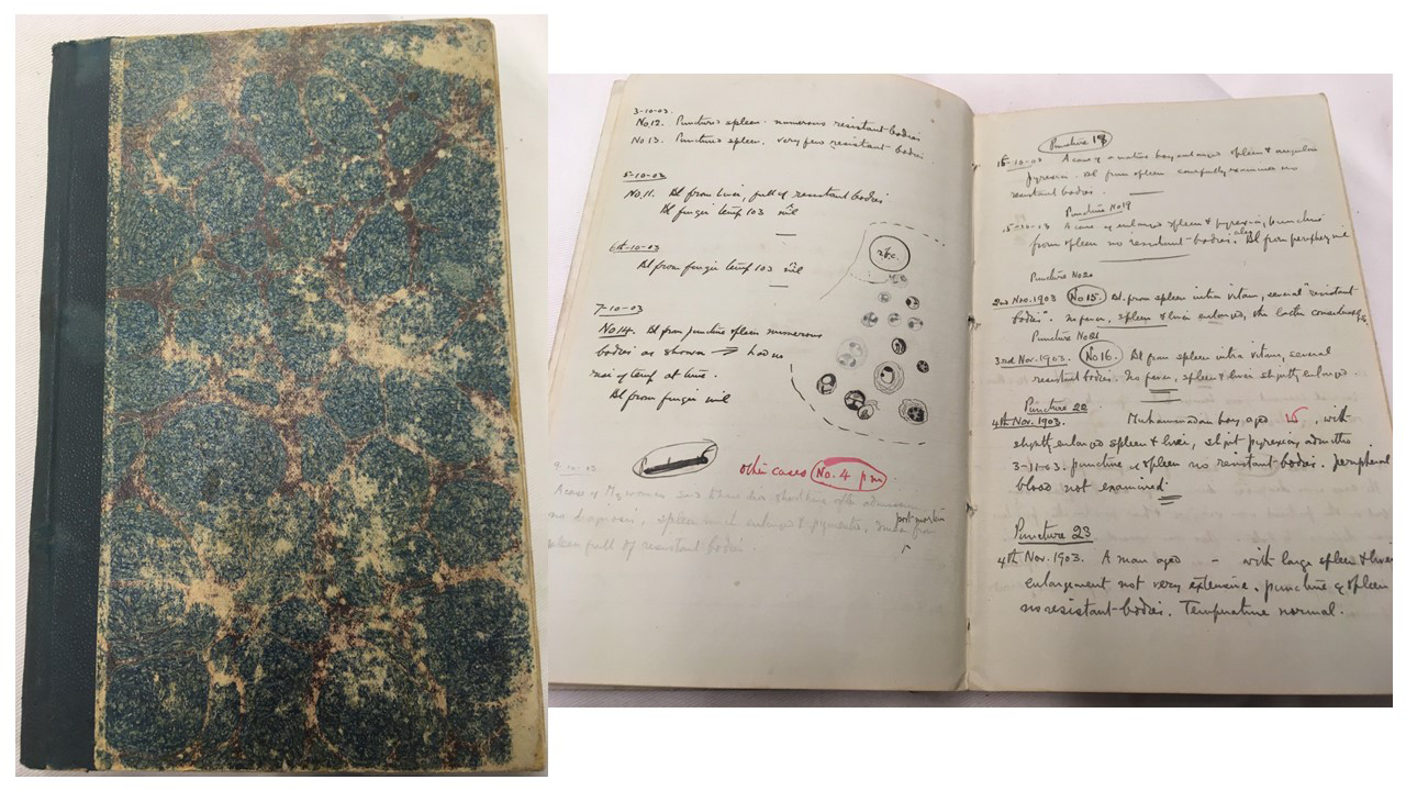 Donovan’s personal notebook from his time in India, showing examples of his careful note-taking, with dates of each entry, and diagrams of the microscopic findings