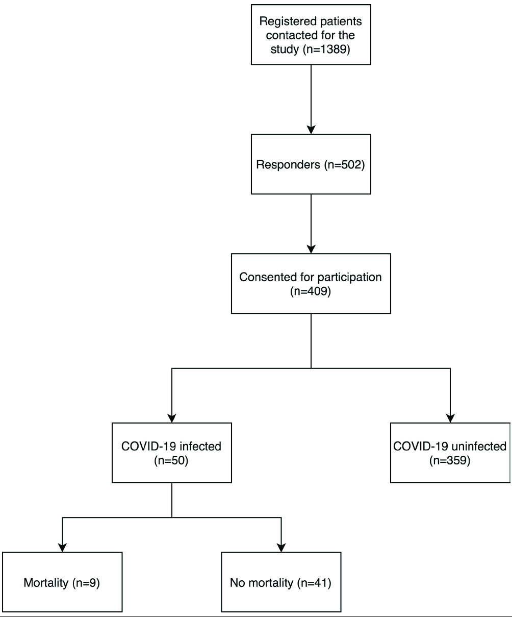 Number of patients at each step