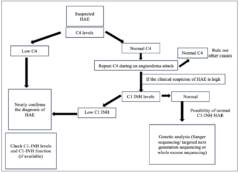 Simplified algorithm for identifying patients with hereditary angioedema. (C1 INH- C1 esterase Inhibitor, HAE- Hereditary angioedema, C4- C4 complement protein.)