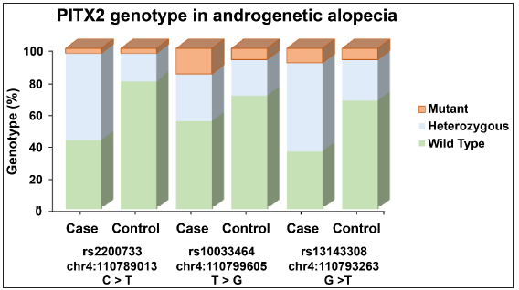 Graphical representation of the genotype distribution of rs2200733, rs10033464, and rs13143308 of the PITX2 gene. The y-axis denotes the percentage of genotype and the x-axis denote the number of cases and controls in each genotype variant of the bar graph in androgenetic alopecia patients and controls.