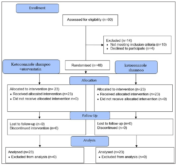 Flow diagram of the trial.