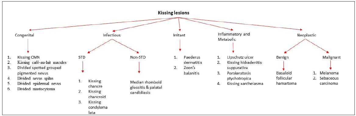 Flowchart showing the classification of kissing lesions in dermatology. CMN: congenital melanocytic naevus, STD: sexually transmitted disease.