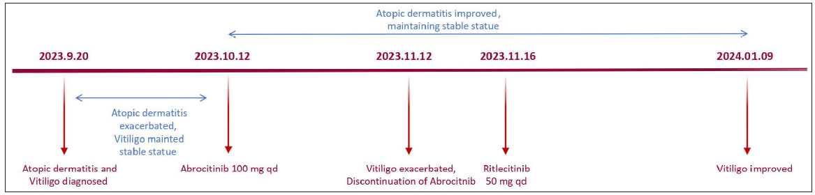 The timeline of the disease course.