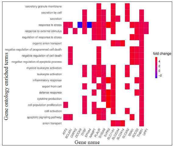 Heat plots showing enriched genes with specific GO terms according to the standardised log2FC for HC vs ENL comparison; positive log2FC denotes genes more expressed in HC individuals while negative log2FC denotes genes more expressed in ENL patients.