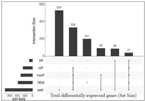 Upset plots depicting the number of differentially expressed genes from each meta-analysis method and their intersection. The vertical bar represents the total number of expressed genes from different methods (intersection size) and the horizontal bar depicts the total gene size (set size) expressed by the meta-analysis method. Differentially expressed genes resulted from LL vs ENL comparison from two datasets (GSE16844 and GSE74481), 41 DEGs were found.