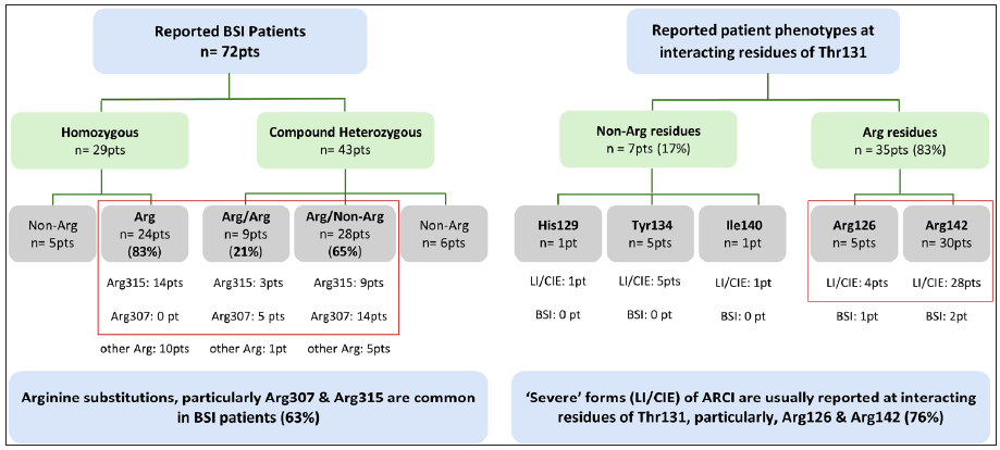 Trends in genotypic alterations in previously reported BSI patients and reported phenotypes associated with the interacting partners of Thr131 (mutated residue in our patient), primarily involving severe forms like lamellar ichthyosis (LI) and congenital ichthyosiform erythroderma (CIE).