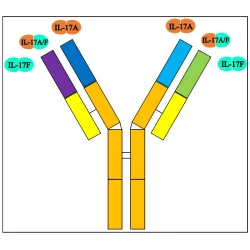 Article figure