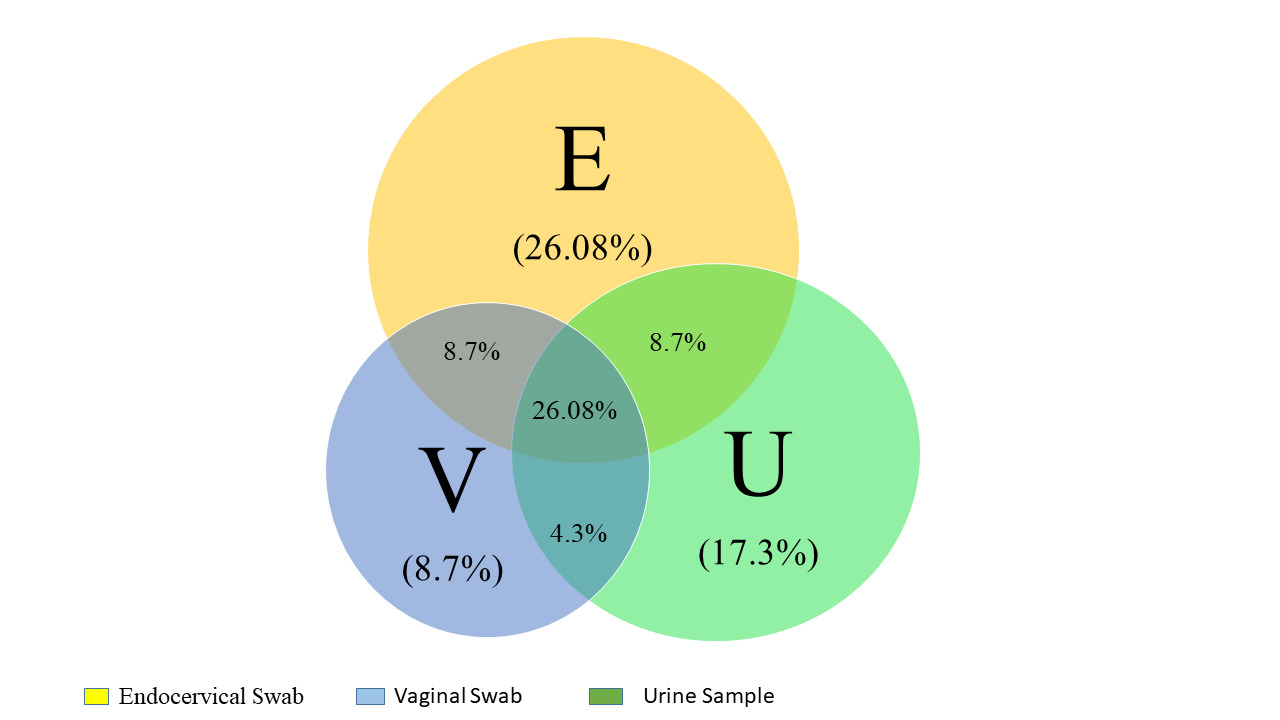 Diagram of percentage positivity for MG in samples from various sites