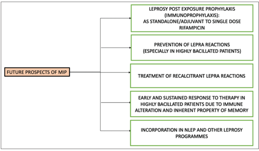 Schematic representation of the possible prospects of the MIP vaccine. (MIP: Mycobacterium indicus pranii; NLEP: National leprosy eradication programme)