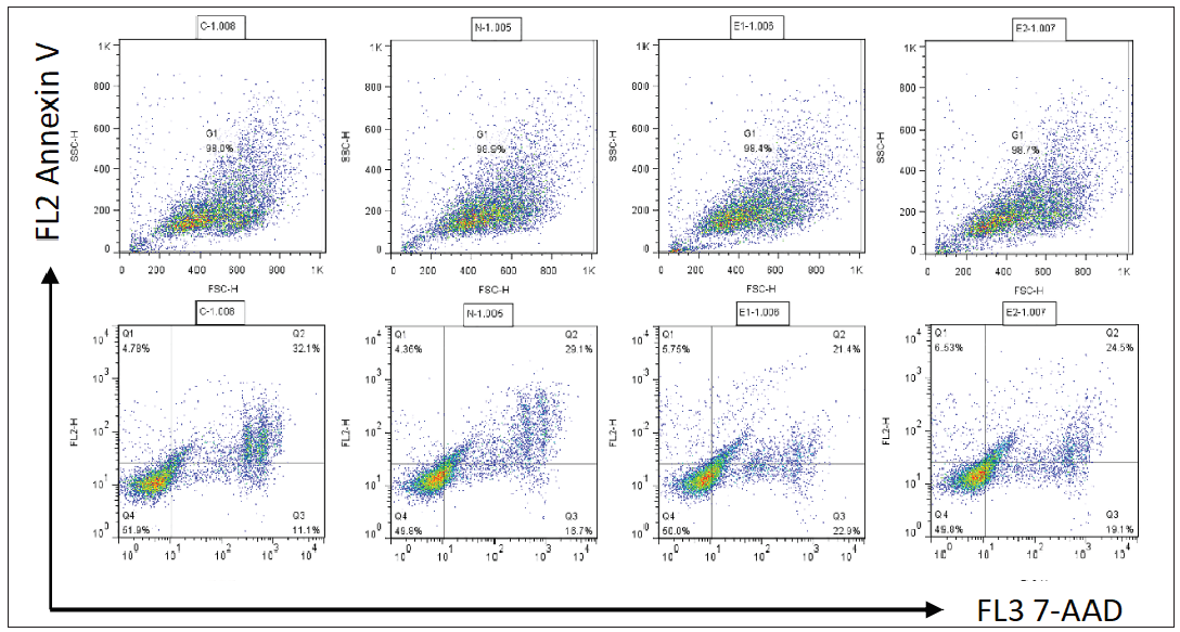 The effect of ATP2C1 gene knockdown on apoptosis was detected through flow cytometry. 7-ADD, 7-amino actinomycin D; Annexin V, annexin V-phycoerythrin; ATP2C1, Adenosine Triphosphatase calcium-transporting type 2C member 1 gene.