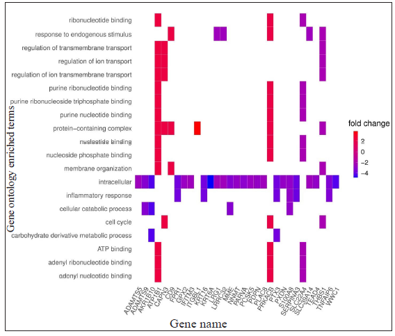 Heat plots showing enriched genes with specific GO terms according to the standardised log2FC for LL vs ENL comparison; positive log2FC denotes genes more expressed in LL while negative log2FC denotes genes more expressed in ENL patients.