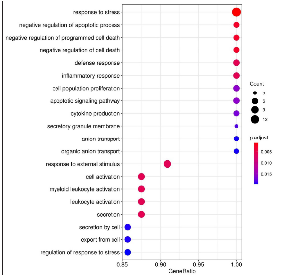 Dot plots depicting the enriched Gene Ontology (GO) terms. GO terms denote the biological process, cellular component, and molecular function of the expressed genes. The X-axis shows the gene ratio, Y-axis denotes the enriched term. Adjusted P-value < 0.1 is set as a cut-off. The colour scale represents adjusted P-values and the size of the dot represents the gene number. Enriched terms for genes expressed in HC vs ENL comparison.