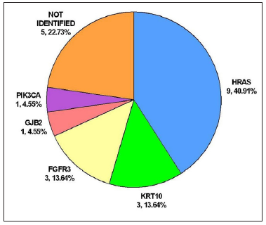 Genotypic spectrum of keratinocytic epidermal naevus in this study. Pie chart showing the genotypic spectrum of the 22 cases studied.