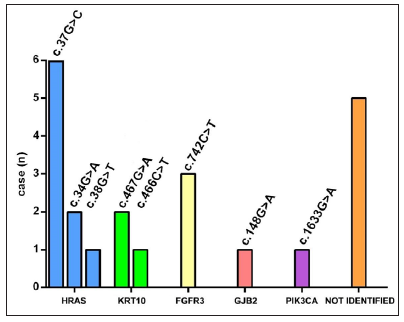 Genotypic spectrum of keratinocytic epidermal naevus in this study. Distribution of mutation sites according to the gene involved.