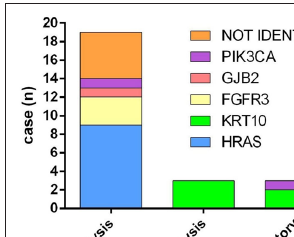 Genotypic spectrum of keratinocytic epidermal naevus in this study. Distribution of genes according to the pathological types.