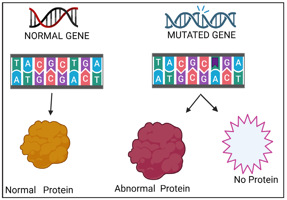 Consequence of a mutation.