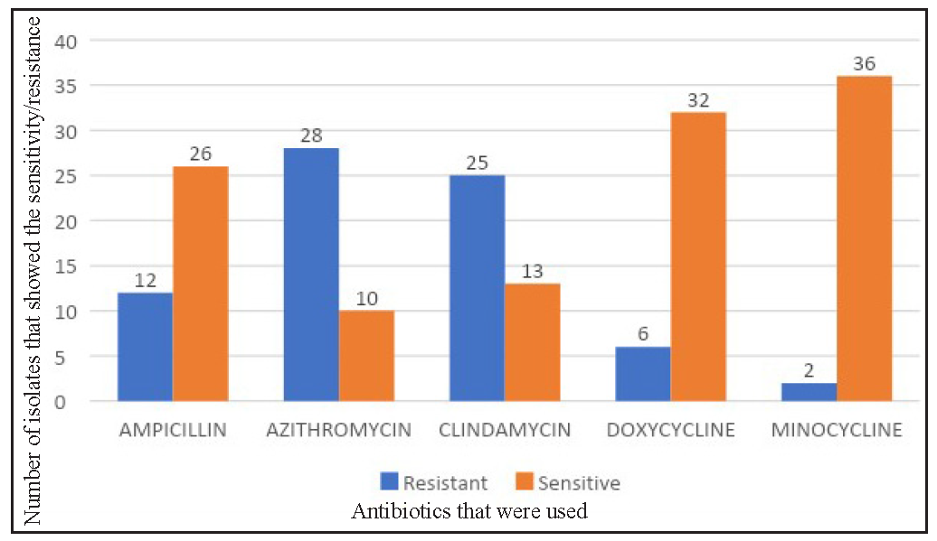 Antibiotic susceptibility of antibiotics. Minocycline shows the most sensitivity.