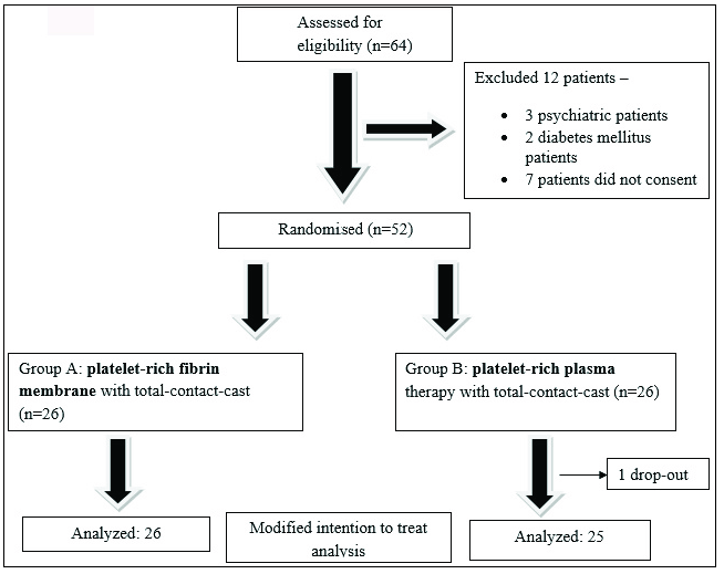 Consolidated Standards of Reporting Trials (CONSORT) flow diagram of study participants.