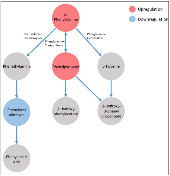 The phenylalanine metabolism was identified as significantly altered in the AD group by MetaboAnalyst 5.0 platform.